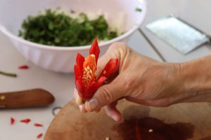 Chillischote in Blumenform