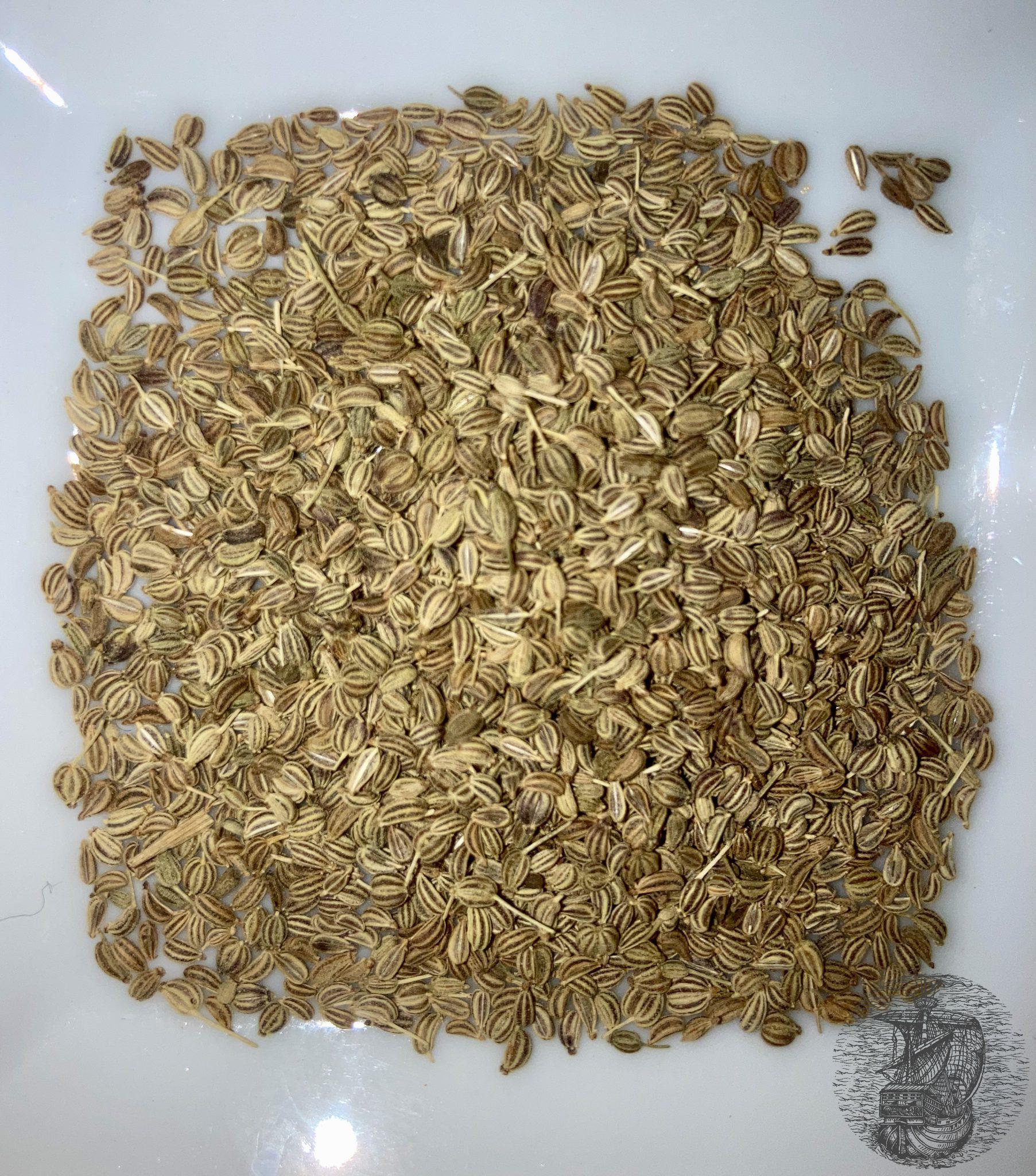 Ajwain the king among caraway seeds Saporidelmondo